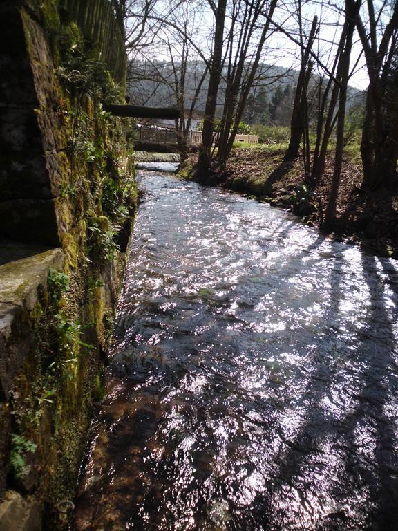 Pension - Gaestehaus Zum Pfaelzerwald Hinterweidenthal Eksteriør billede