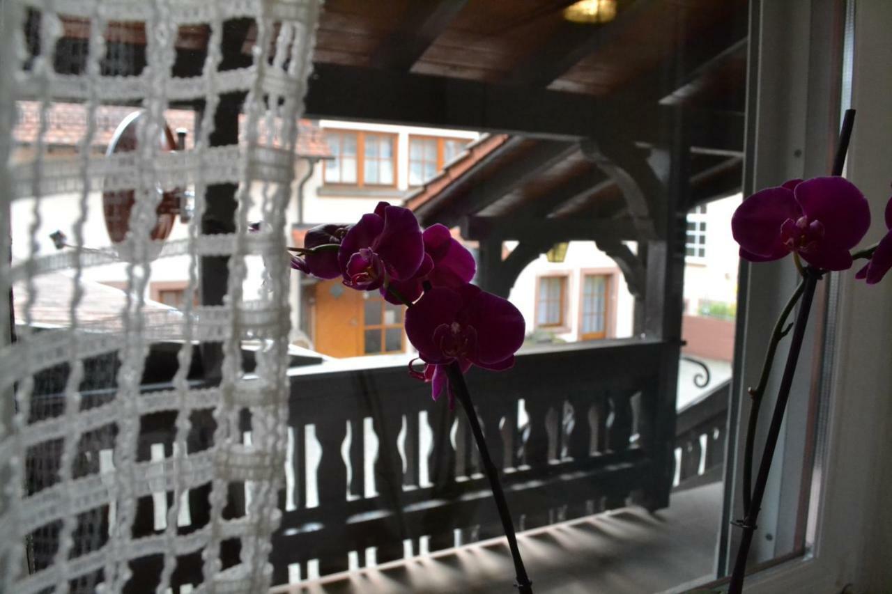 Pension - Gaestehaus Zum Pfaelzerwald Hinterweidenthal Eksteriør billede
